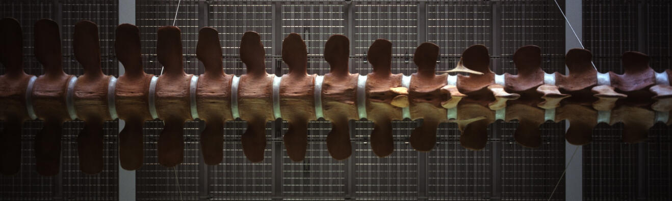 A row of sculptural wooden forms against a dark gridded background